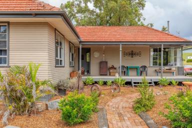 Farm For Sale - NSW - Dungog - 2420 - Escape to the Country  (Image 2)