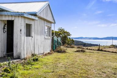 Farm For Sale - TAS - Premaydena - 7185 - Renovation Opportunity or Live-in this ideal North-Facing Location While You Plan Your Dream Design (stca)  (Image 2)