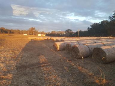Farm For Sale - QLD - Glan Devon - 4615 - Mixed Farming with irrigation and elevated grazing land.  (Image 2)