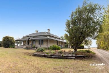Farm Auction - SA - Yahl - 5291 - Character home near Mt Gambier on approximately 5.45 acres!  (Image 2)