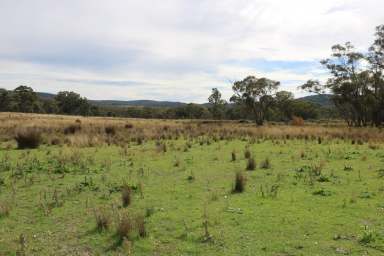 Farm For Sale - NSW - Parkes - 2870 - Your Ideal Lifestyle Block Awaits  (Image 2)