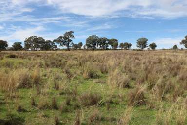 Farm For Sale - NSW - Parkes - 2870 - Your Ideal Lifestyle Block Awaits  (Image 2)