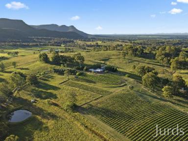 Farm For Sale - NSW - Pokolbin - 2320 - DRESS CIRCLE HOMESTEAD IN HUNTER VALLEY WINE COUNTRY  (Image 2)