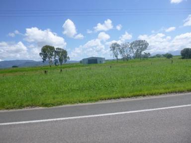 Farm For Sale - QLD - Ingham - 4850 - RURAL PROPERTY JUST OUTSIDE INGHAM!  (Image 2)