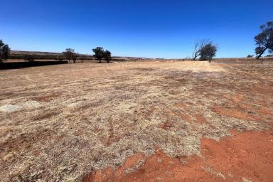 Farm For Sale - WA - Northam - 6401 - Welcome to 9 Marshall Place, where your dream lifestyle awaits!  (Image 2)