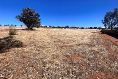 Farm For Sale - WA - Northam - 6401 - Welcome to 9 Marshall Place, where your dream lifestyle awaits!  (Image 2)