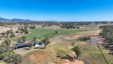 Farm For Sale - NSW - Garoo - 2340 - Lucella, quality grazing property in a tightly held district  (Image 2)