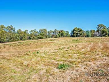 Farm For Sale - TAS - Tarleton - 7310 - The Block of your Dreams  (Image 2)