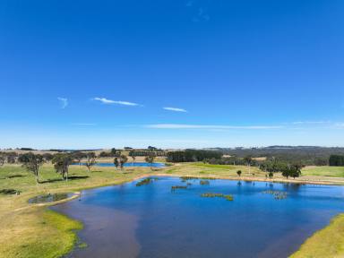Farm For Sale - NSW - Sutton Forest - 2577 - Large Scale Land Holding with Water & Nature  (Image 2)