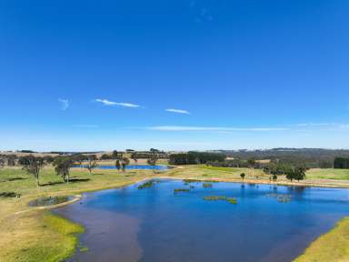 Farm For Sale - NSW - Sutton Forest - 2577 - Large Picturesque Holding with Water & Nature  (Image 2)