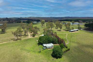 Farm For Sale - NSW - Sutton Forest - 2577 - Large Picturesque Holding with Water & Nature  (Image 2)