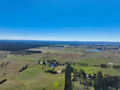 Farm For Sale - NSW - Sutton Forest - 2577 - Large Scale Land Holding with Water & Nature  (Image 2)