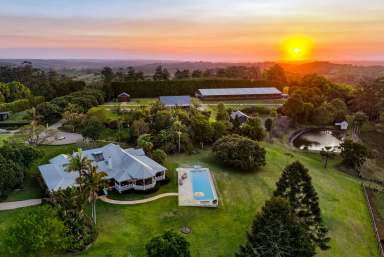 Farm For Sale - NSW - Brooklet - 2479 - One of Byron Bay's Finest Hinterland Estates  (Image 2)