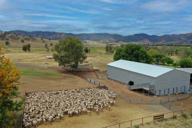 Farm For Sale - NSW - Manilla - 2346 - Windfall Combining Agriculture, Water and Nature  (Image 2)