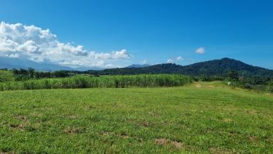 Farm For Sale - QLD - East Russell - 4861 - Acreage Property 10 Acres - Bramston Beach Road  (Image 2)