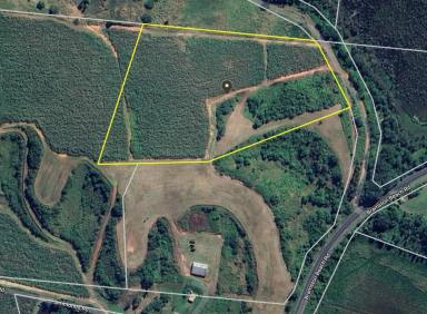 Farm For Sale - QLD - East Russell - 4861 - Acreage Property 10 Acres - Bramston Beach Road  (Image 2)
