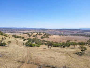 Farm For Sale - NSW - Willow Tree - 2339 - Spring Gully  (Image 2)