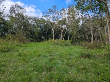 Farm For Sale - QLD - Cooktown - 4895 - 24 Acres on Endeavour Valley Road  (Image 2)