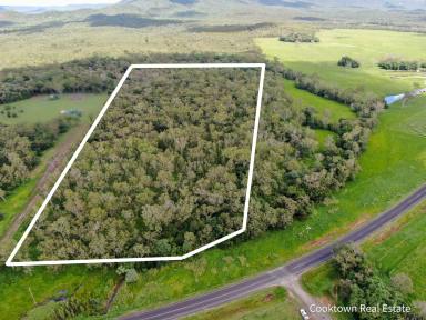 Farm For Sale - QLD - Cooktown - 4895 - 24 Acres on Endeavour Valley Road  (Image 2)