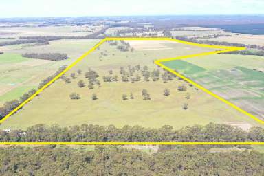 Farm Sold - VIC - Bungador - 3260 - Prime Western District Grazing Opportunity - Bungador Plains  (Image 2)