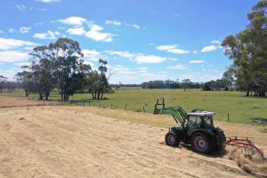 Farm Sold - VIC - Bungador - 3260 - Prime Western District Grazing Opportunity - Bungador Plains  (Image 2)