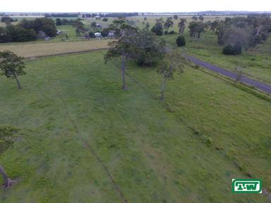 Farm For Sale - NSW - Broadwater - 2472 - IN THE MIDDLE OF THE VALLEY - 33 ACRES  (Image 2)