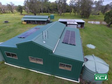 Farm For Sale - NSW - Broadwater - 2472 - IN THE MIDDLE OF THE VALLEY - 33 ACRES  (Image 2)