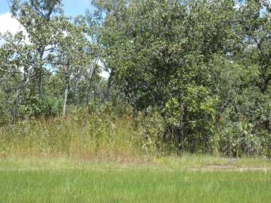 Farm For Sale - NT - Lloyd Creek - 0822 - Only two left in the subdivision!  (Image 2)