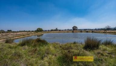 Farm For Sale - NSW - Mudgee - 2850 - RARE 100 ACRE FARM JUST 18KM TO TOWN  (Image 2)