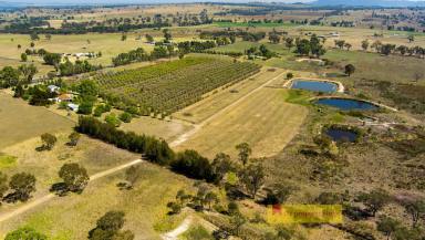 Farm For Sale - NSW - Mudgee - 2850 - RARE 100 ACRE FARM JUST 18KM TO TOWN  (Image 2)