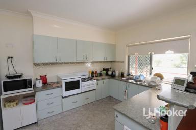 Farm For Sale - NSW - Inverell - 2360 - Acreage on Edge of Town  (Image 2)