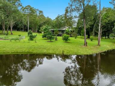 Farm Sold - NSW - Koonorigan - 2480 - Rural Lifestyle with Peace and Privacy  (Image 2)