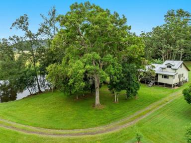 Farm For Sale - NSW - Koonorigan - 2480 - Rural Lifestyle with Peace and Privacy  (Image 2)