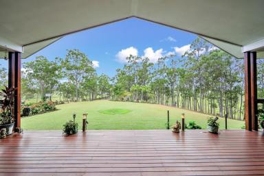 Farm For Sale - QLD - McIlwraith - 4671 - Stunning 4-bedroom, 2-bathroom house situated on a spacious 30.42 hectare property with 20 meg of water  (Image 2)