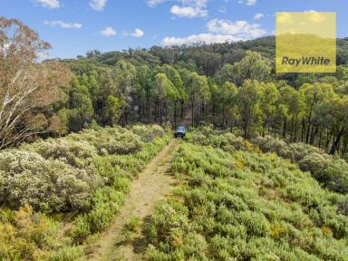 Farm For Sale - NSW - Crookwell - 2583 - On Top Of The Hill  (Image 2)
