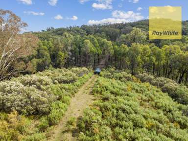 Farm Sold - NSW - Crookwell - 2583 - On Top Of The Hill  (Image 2)