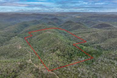 Farm Sold - NSW - Taralga - 2580 - 'Peaceful hidden gem, with acreage'  (Image 2)