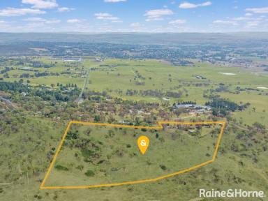 Farm For Sale - NSW - Mount Panorama - 2795 - LIVE THE MOUNT PANORAMA LIFESTYLE - 13 ACRES WITH 2 HOMES  (Image 2)