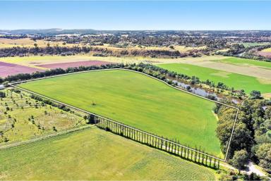 Farm For Sale - VIC - Bairnsdale - 3875 - Highly Productive River Flat  (Image 2)