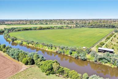 Farm For Sale - VIC - Bairnsdale - 3875 - Highly Productive River Flat  (Image 2)