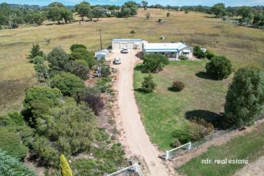 Farm For Sale - NSW - Inverell - 2360 - YOUR NEW HOME & ACREAGE AWAITS!  (Image 2)