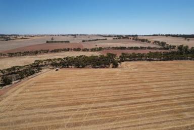 Farm For Sale - WA - York - 6302 - Elsie's: A Rural Paradise in Mount Hardey, York                        73.72ha(182acres)  (Image 2)