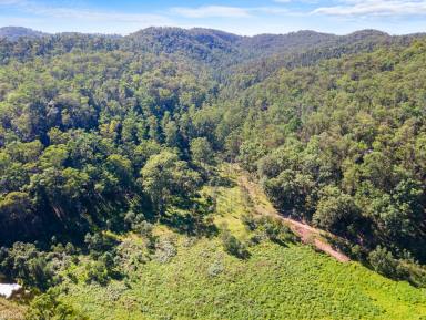 Farm For Sale - NSW - Putty - 2330 - Nature's Paradise with Biodiversity stewardship agreement  (Image 2)