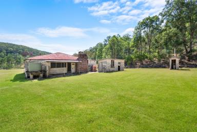 Farm For Sale - NSW - Garland Valley - 2330 - The Valley of Natural Splendour  (Image 2)