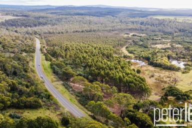 Farm Sold - TAS - Pipers Brook - 7254 - Another Property SOLD SMART by Peter Lees Real Estate  (Image 2)