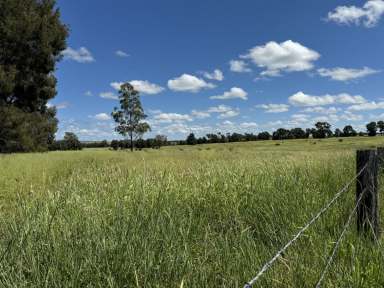 Farm For Sale - QLD - Monto - 4630 - Cream of the Crop  (Image 2)