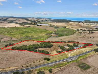 Farm For Sale - VIC - Princetown - 3269 - RELAX OR GET INTO BUSINESS  (Image 2)