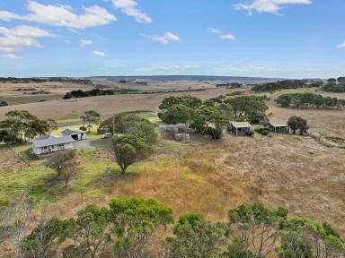 Farm For Sale - VIC - Princetown - 3269 - RELAX OR GET INTO BUSINESS  (Image 2)