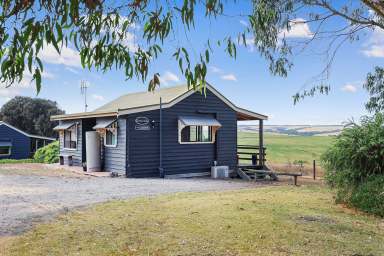 Farm For Sale - VIC - Princetown - 3269 - RELAX OR GET INTO BUSINESS  (Image 2)