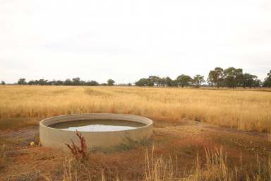 Farm For Sale - VIC - Kotta - 3565 - IRRIGATION CROPPING OR OUT BLOCK  (Image 2)